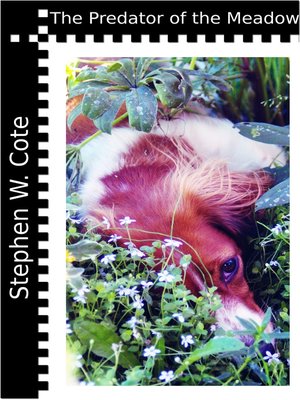 cover image of The Predator of the Meadow